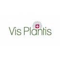Vis Plantis