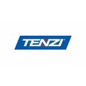 TENZI