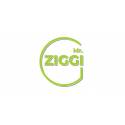 Mr. ZIGGI